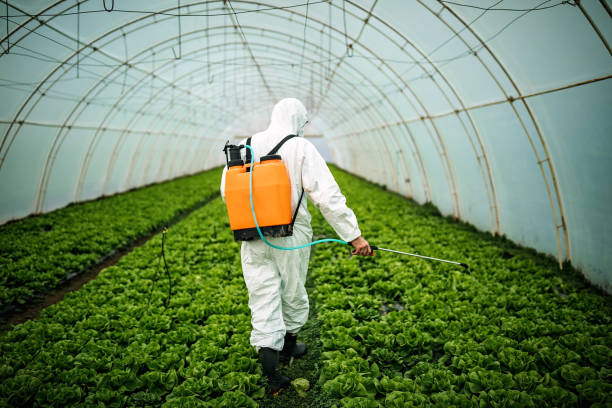 Best Local Pest Control Services  in Shorewood Hills, WI