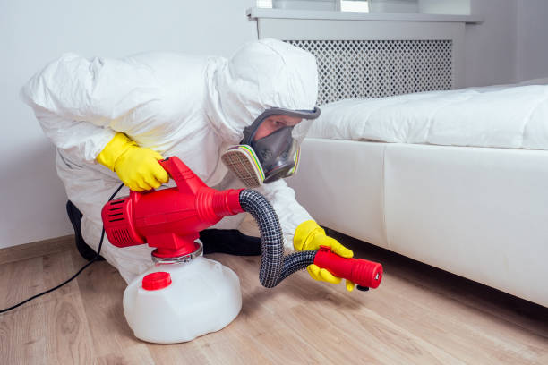 Best Flea Control Services  in Shorewood Hills, WI