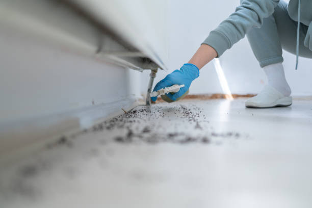Best Pest Removal Services  in Shorewood Hills, WI